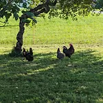 Neuschwendterhof * Ebbs