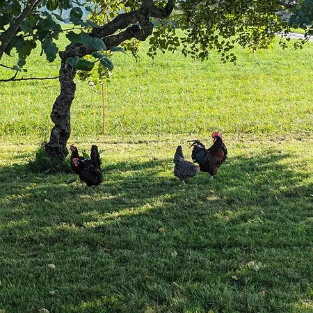 Neuschwendterhof * Ebbs